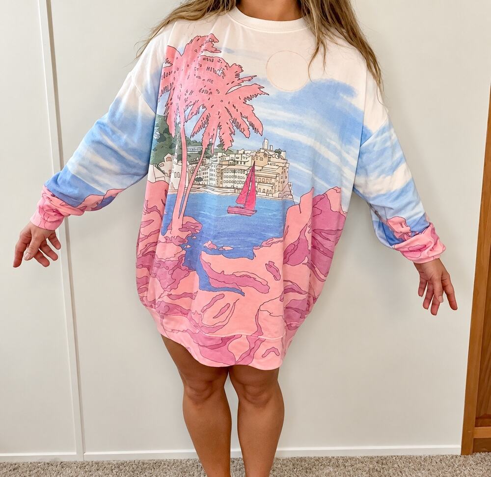 Wildfox Scenic Coastal Graphic Long Sleeve Top Large Pink Blue Oversized